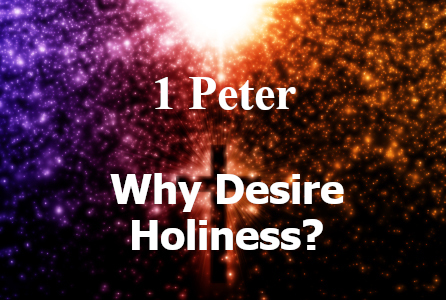 Why Desire Holiness?